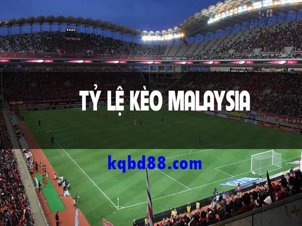 ty-le-keo-malaysia-la-gi-huong-dan-cach-dat-keo-malaysia-chuan