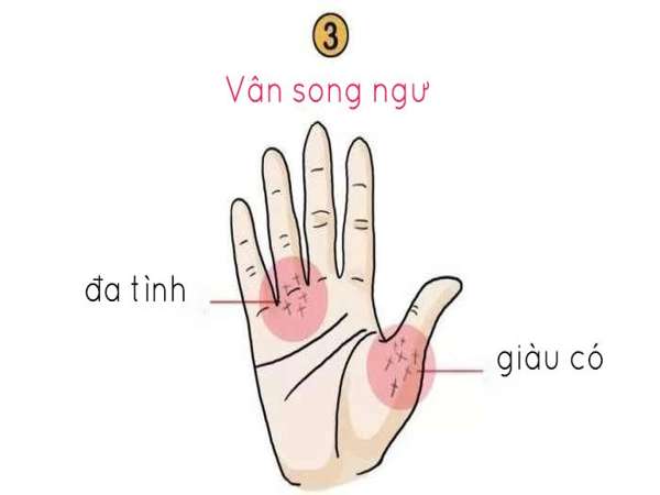 Xem tướng tay